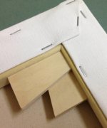 info_canvas2
